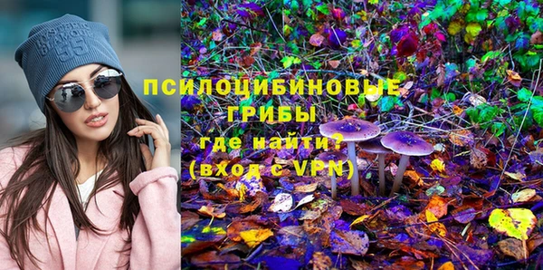 шишки Магадан