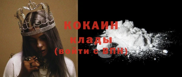 шишки Магадан