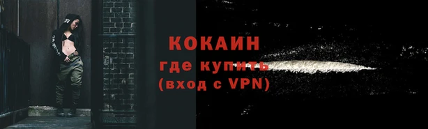 шишки Магадан