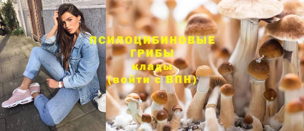 шишки Магадан