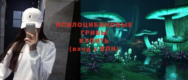 шишки Магадан