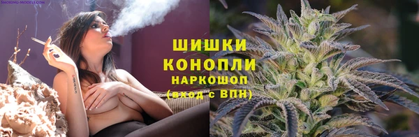шишки Магадан