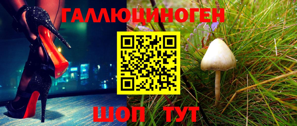 Псилоцибиновые грибы Psilocybine cubensis  Ростов-на-Дону 