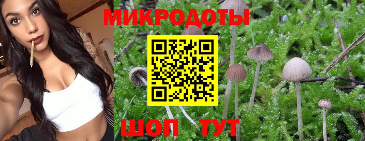 Псилоцибиновые грибы GOLDEN TEACHER  Вход с VPN  Ростов-на-Дону 
