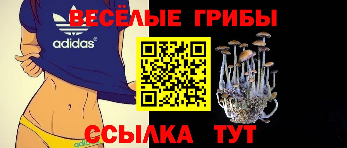 Псилоцибиновые грибы мицелий Ростов-на-Дону