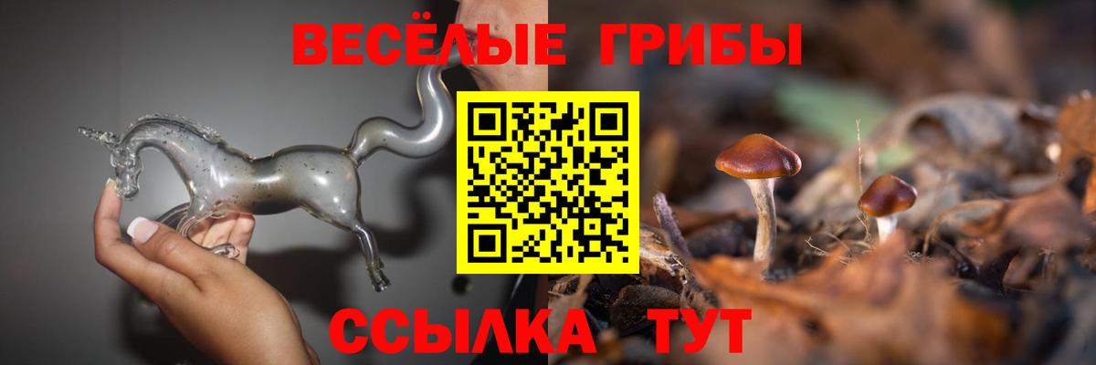 Псилоцибиновые грибы Ростов-на-Дону